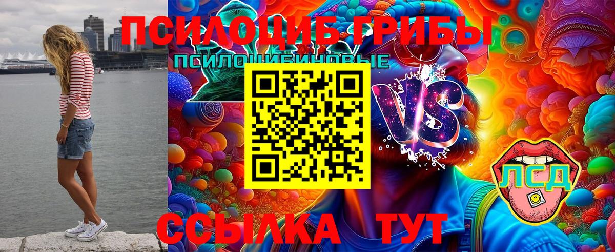 Псилоцибиновые грибы Cubensis Дюртюли