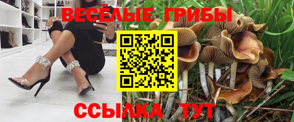 сколько стоит  Псилоцибиновые грибы прущие грибы  Вход с VPN  Псилоцибиновые грибы Cubensis  Дюртюли 